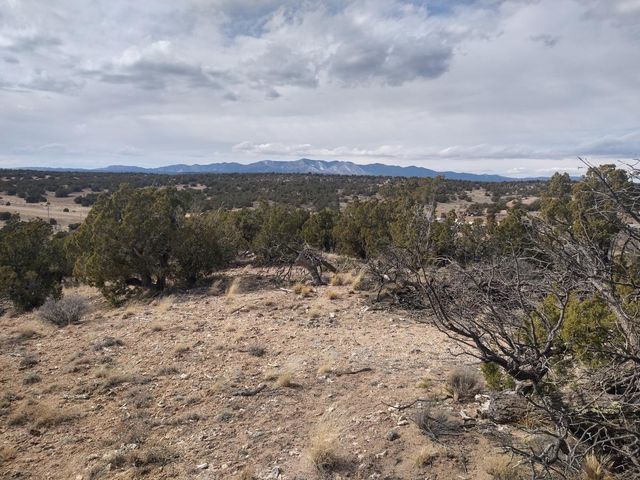 TRACT Five Bridle Path Loop, Mountainair, NM 87036