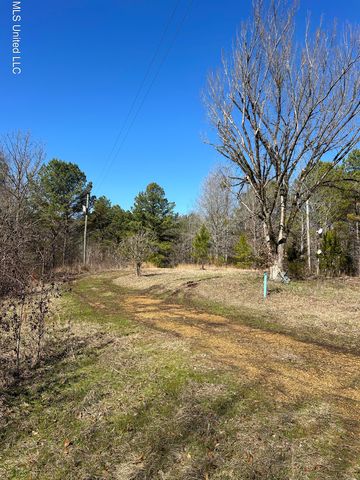 Phillips Rd, Cruger, MS 38924