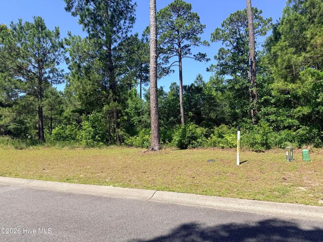 3808 Silver Melon Rd   NE #130, Leland, NC 28451