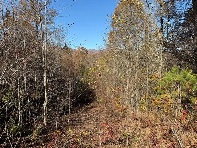 Summit Ridge Trl, Marble, NC 28905