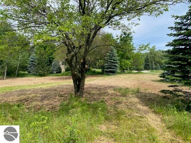 4 Lyns Ct, Williamsburg, MI 49690