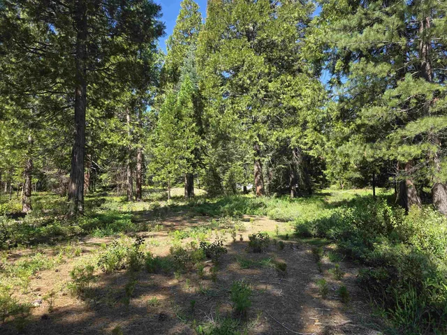Lot 82 Panther Meadow Dr, McCloud, CA 96057