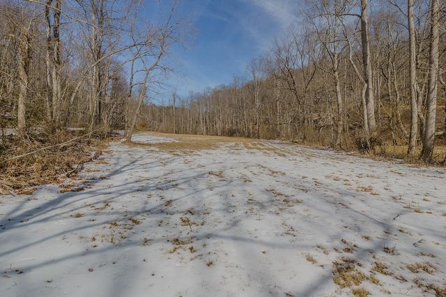 Willard Creek Ln, Stuart, VA 24171