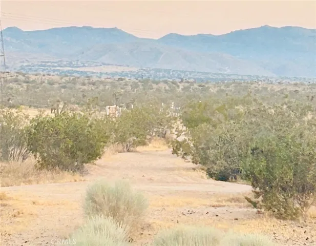 1 Cottonwood Springs Rd, Lucerne Valley, CA 92356