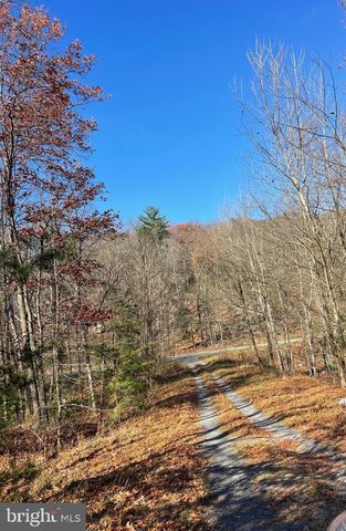 Hannah Ct, Yellow Spring, WV 26865