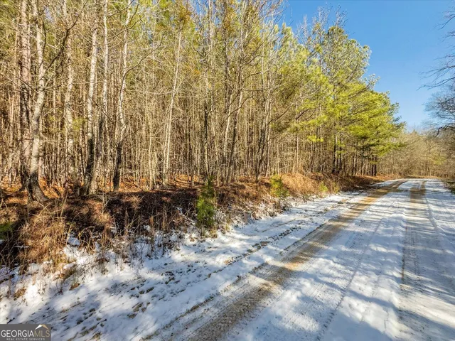 Callaway & Hollis Norman Rd, Washington, GA 30673