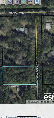 1102 Rosewood St, Bunnell, FL 32110