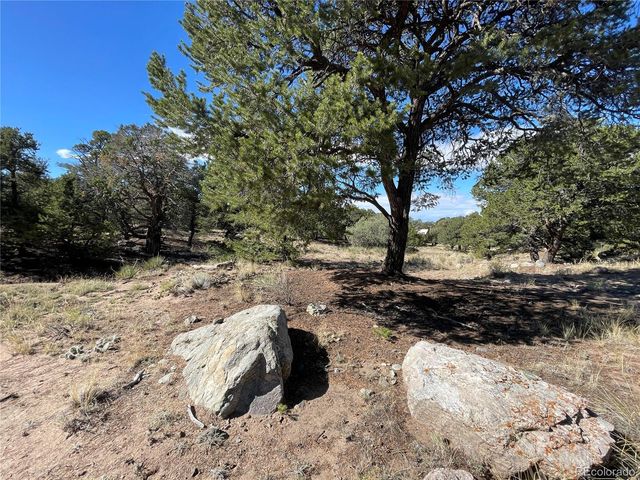3547 Fallen Tree Place, Crestone, CO 81131