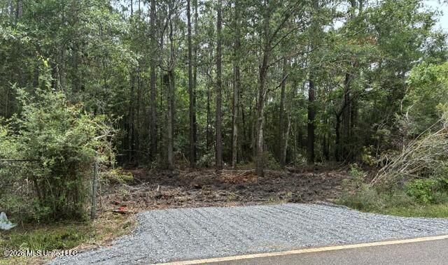 Parcel 1 Menge Ave, Pass Christian, MS 39571
