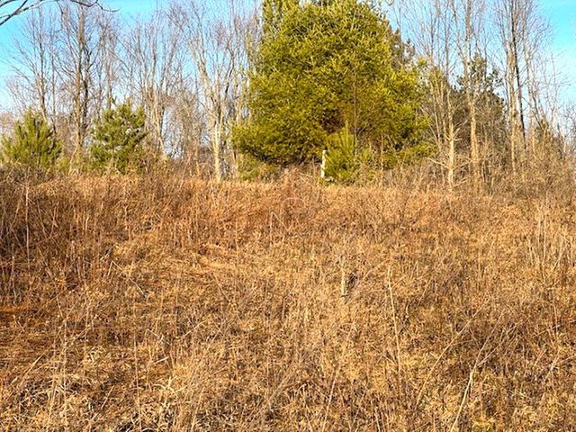 Lot 6 Thorn Apple Dr, Wittenberg, WI 54499