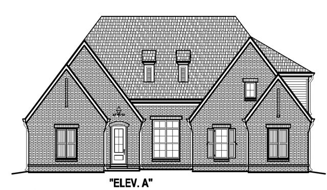 Blossom III - Cypress Grove Plan in Cypress Grove, Collierville, TN 38017