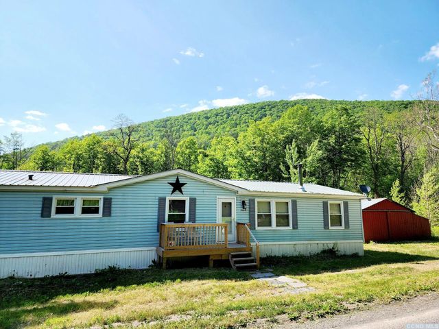 1662 Hauverville Rd, Middleburgh, NY 12122