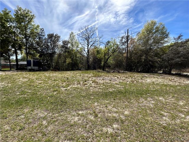 2090 W  Roseboro Dr, Citrus Springs, FL 34434
