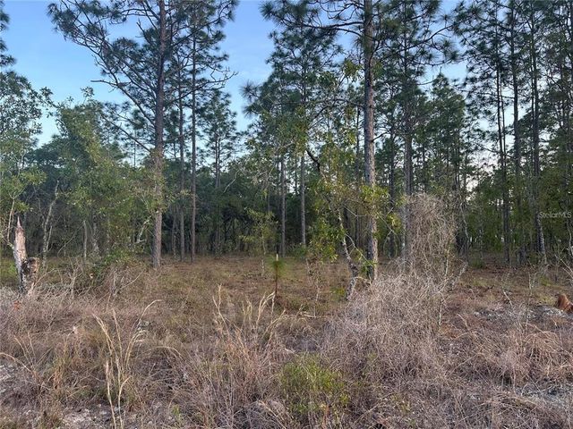Lot 3 NW Amberjack Ave #3, Dunnellon, FL 34431