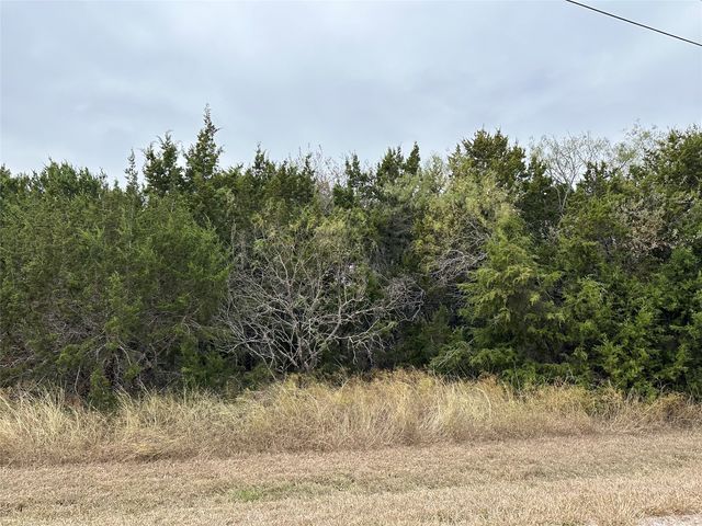 43100 Coneflower Dr, Whitney, TX 76692