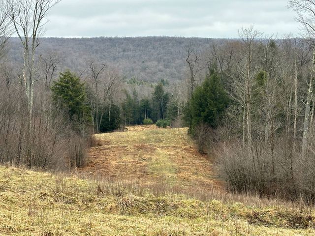 Nordmont Rd, Muncy Valley, PA 17758
