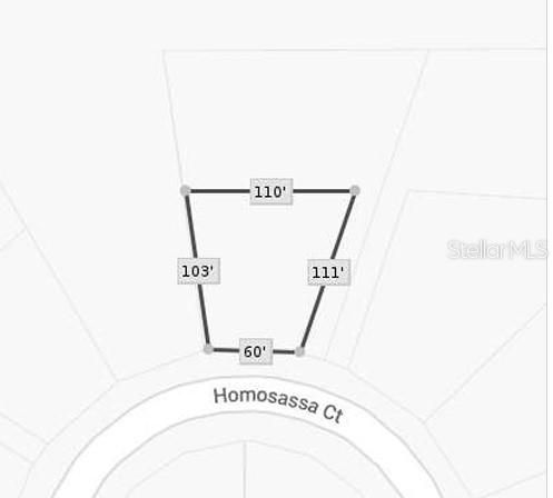 1327 Homosassa Ct   #1, Kissimmee, FL 34759