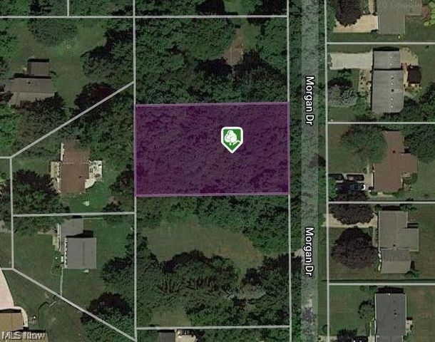 V/l Morgan Dr, Painesville, OH 44077