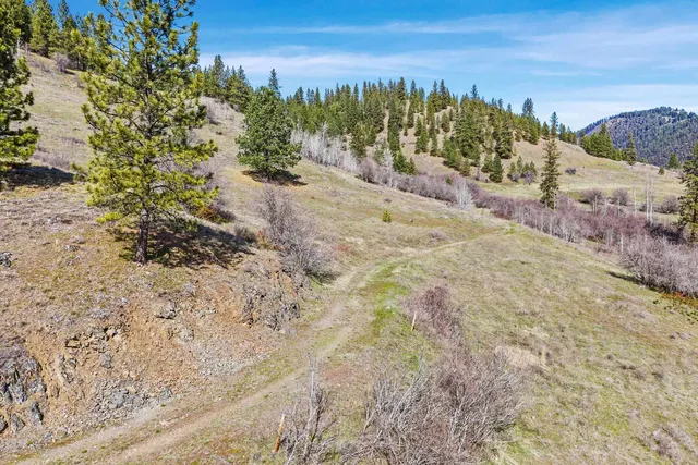 30XX Pierre Lake Rd, Kettle Falls, WA 99141