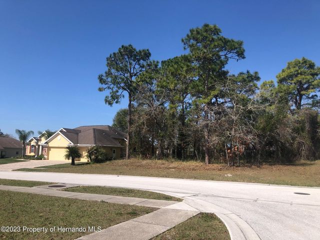 13363 Newcastle Ave, Spring Hill, FL 34609