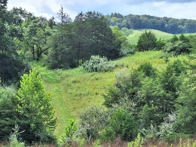 Tbd Forge Rd, Lexington, VA 24450