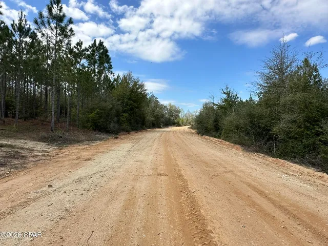 Tract 6418 Mattox Springs Rd #S2, Caryville, FL 32427