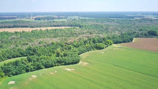 492 Doc Henderson Rd, Maxton, NC 28364