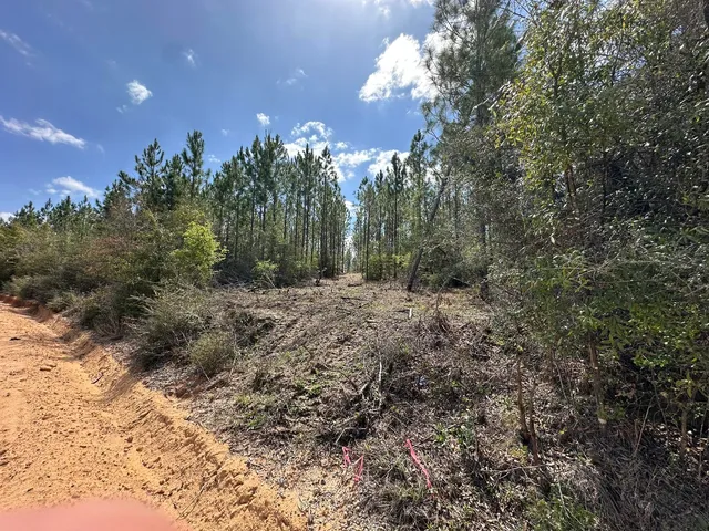 Tract 6418 Mattox Springs Rd #3, Caryville, FL 32427