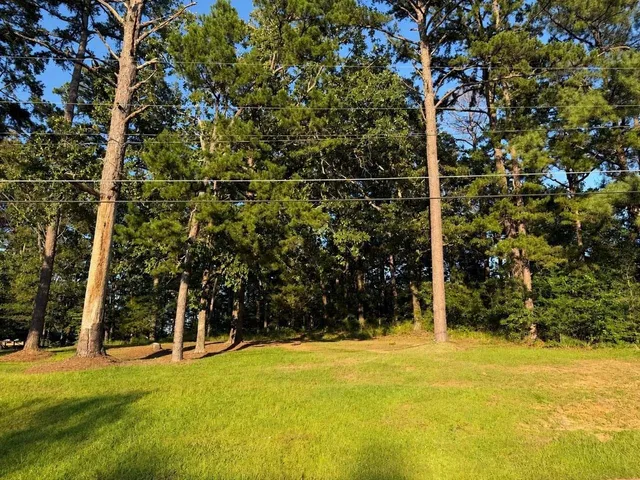 Highway 12 & Woodland Dr, Kosciusko, MS 39090
