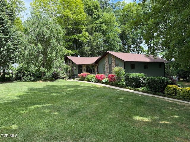 230 Picadilly Ln, Gray, TN 37615