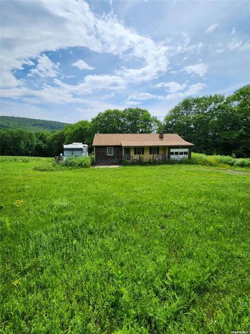 1101 Country Hway 39, Worcester, NY 12197