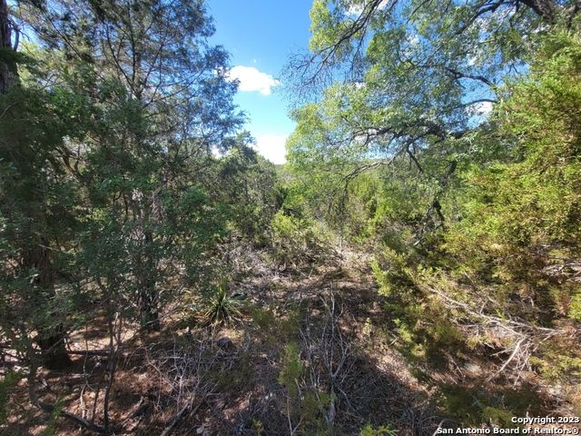 LT 1-24 32ND ST 32ND ST LOT 1-24, Pipe Creek, TX 78063