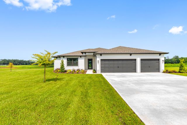 Palm Beach Plan in Lake Gallagher Estates, Dover, FL 33547