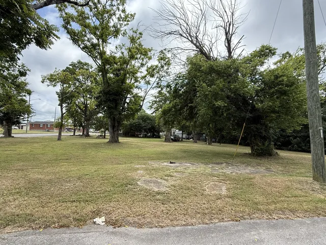 213 Owen St, Lebanon, TN 37087