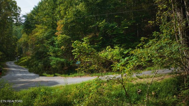 Stepping Stone Dr, Sevierville, TN 37862