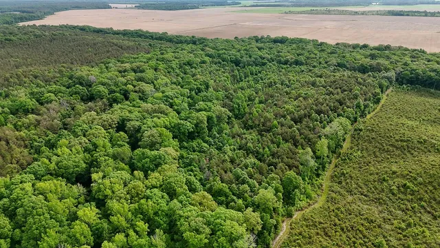 Ashley Rd #196, Hamburg, AR 71646
