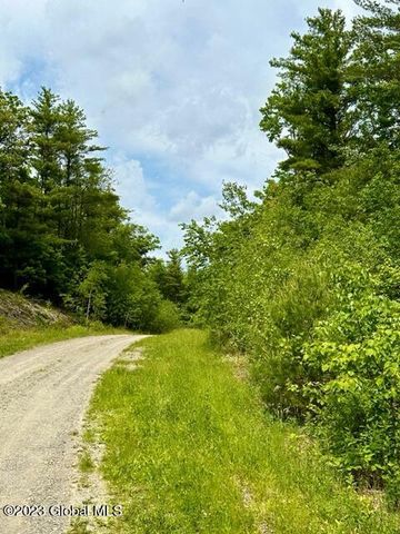 L82.3 Old Ghost Road Lot 22, Canaan, NY 12029