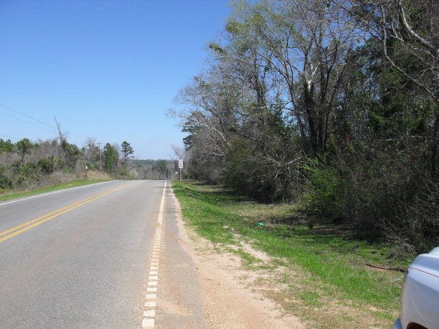 Highway 21 N, Pine Apple, AL 36768