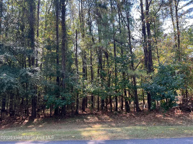 14 Vista Wood Dr, Dadeville, AL 36853