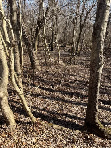 E  Greene County Rd #954, Paragould, AR 72450