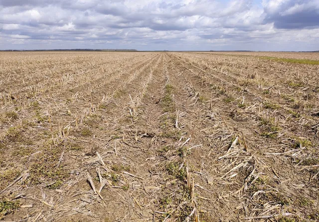 160 Acres Nw 1/4 Of Sec 20 #T19N-R12E, Transylvania, LA 71286