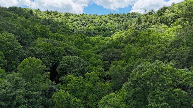 Chesnut Branch Rd #WP001, Bakersville, NC 28705