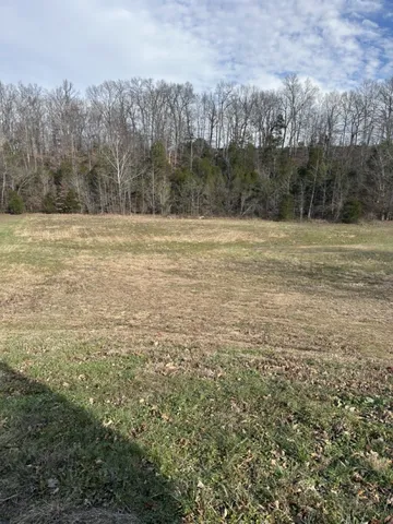 4080 Summit Dr #5, Greenbrier, TN 37073