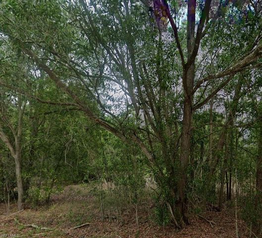 118 Johns AVE, Lehigh Acres, FL 33936