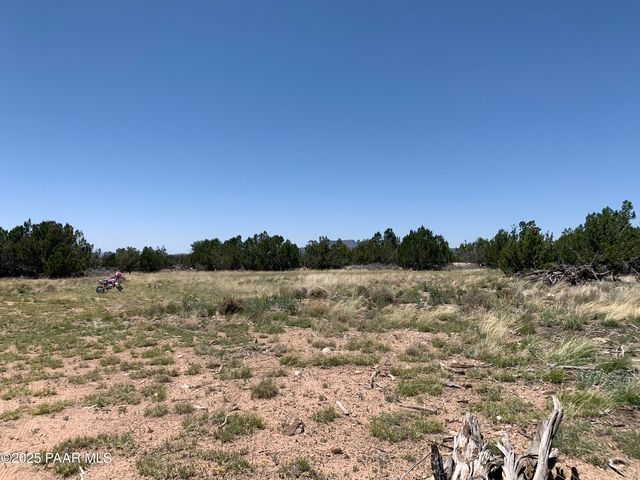 37925 W  Raptor Rd, Seligman, AZ 86337