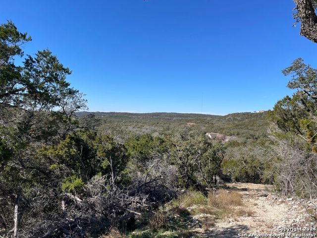 625 COUNTY ROAD 2763 LOT 442, Mico, TX 78056