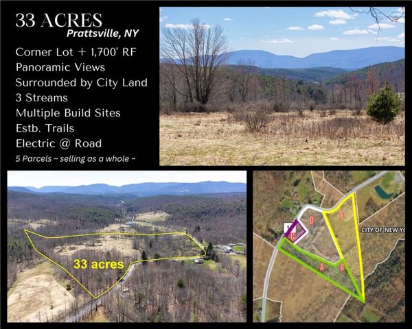 6 County Route 11, Prattsville, NY 12468