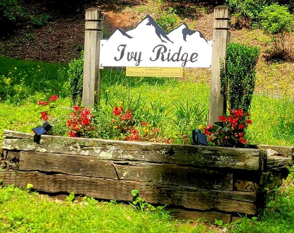 Ivy Ridge Cir, Sylva, NC 28779