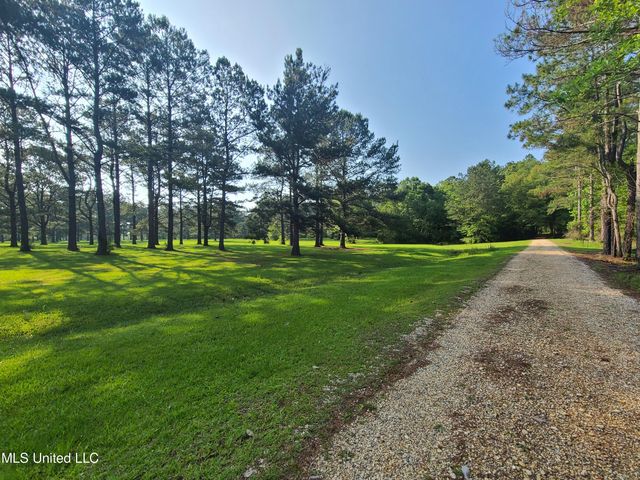 Thompson Ln, Carriere, MS 39426