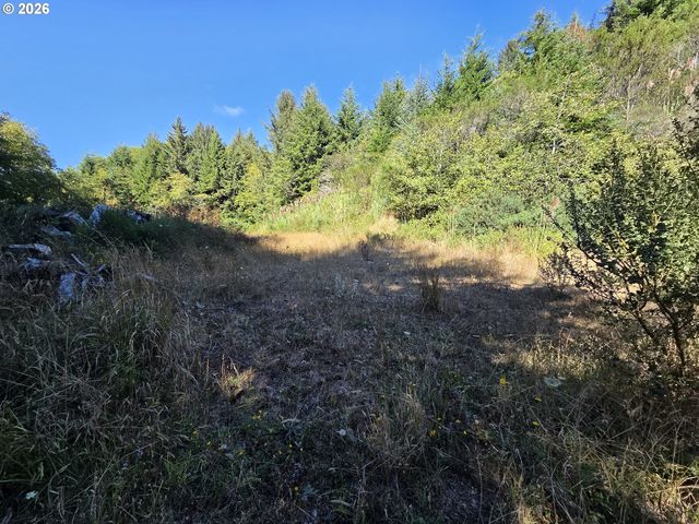 Winderness Dr #2704, Brookings, OR 97415